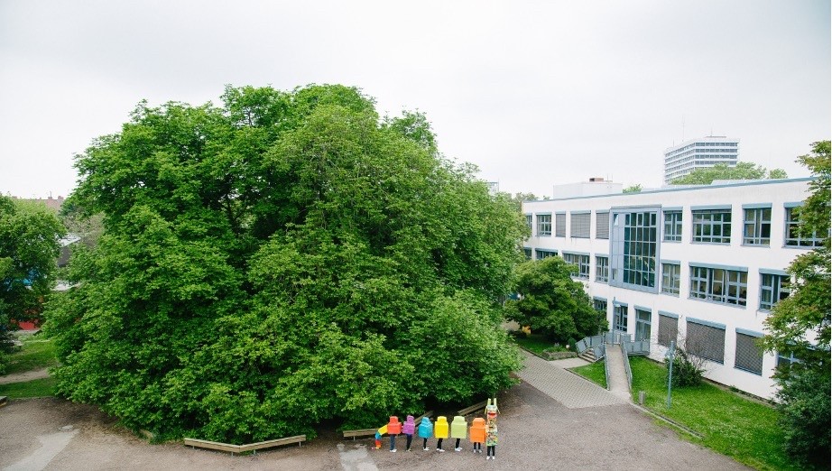 Gutenberg-Gymnasium